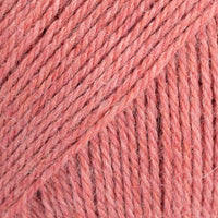 24 - JORDBÆR ROSA