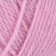 563 - LYS ROSA