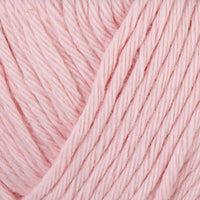 466 - LYS ROSA