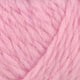 964 - LYS ROSA