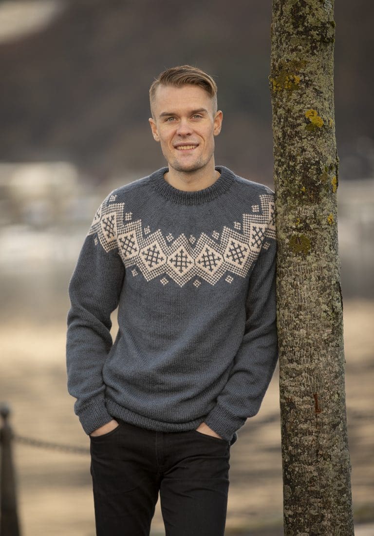 Product image for VIKING - BISLETT GENSER 2004-6