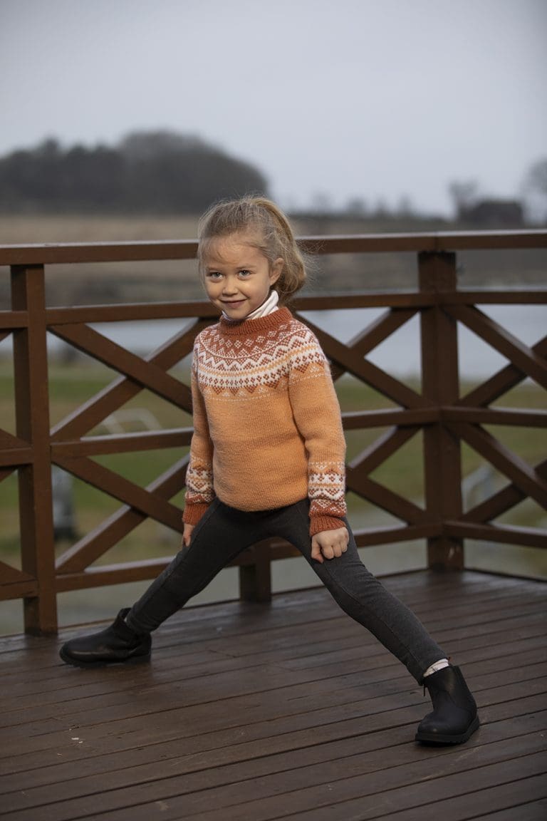 Product image for VIKING - DIIS GENSER 2007-1D