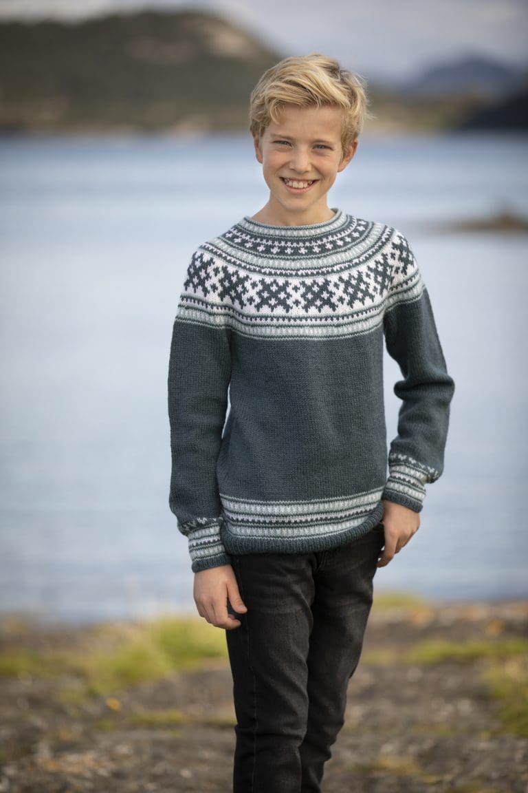 Product image for VIKING - MIKKEL GENSER 2001-4