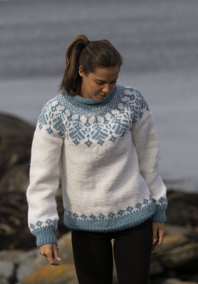 Product image for VIKING - ANTILA GENSER 2134-4