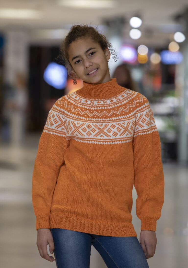 Product image for VIKING - SETESDAL GENSER 2210-3