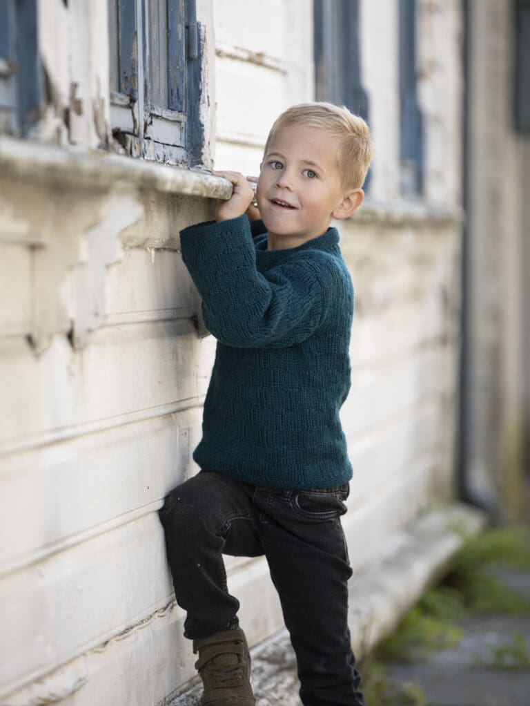 Product image for VIKING - CLYDE GENSER 2232-3