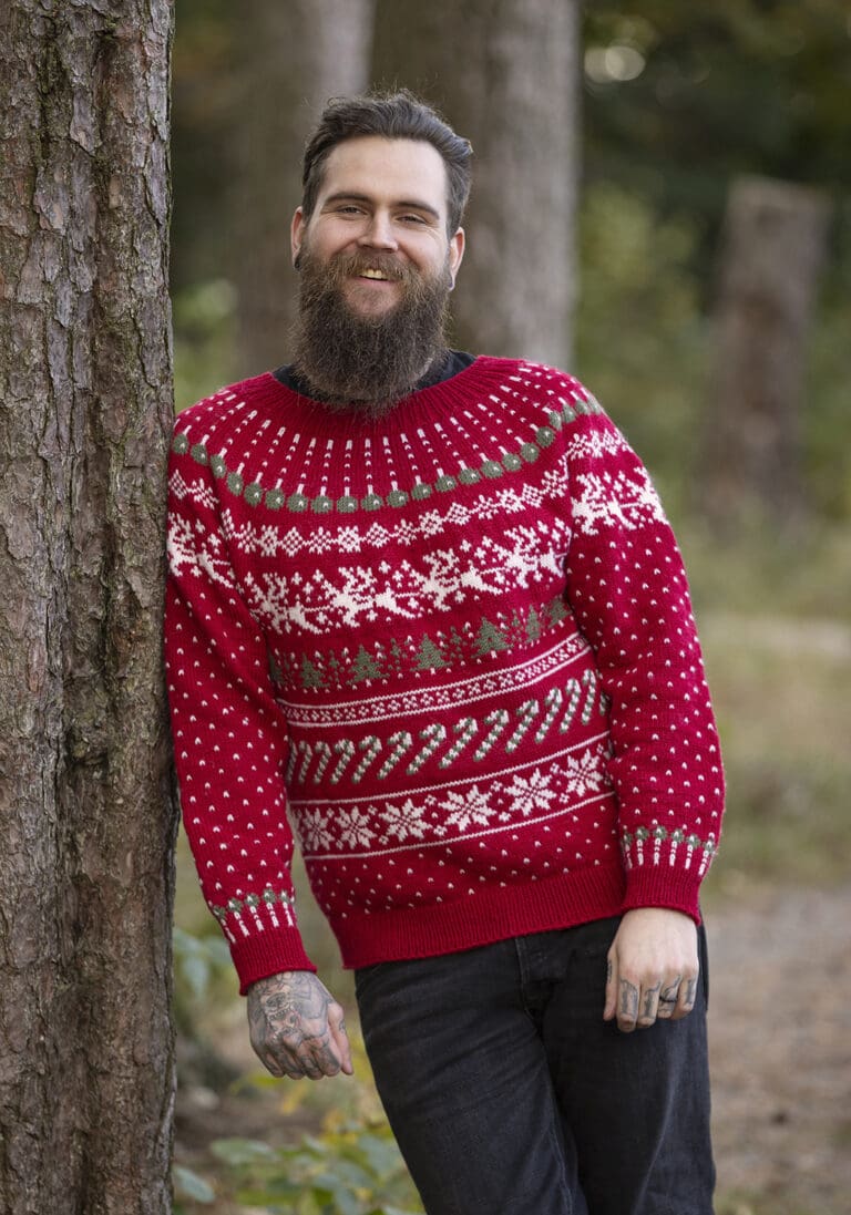 Product image for VIKING - JULEMYSTERIET GENSER 2238-2A