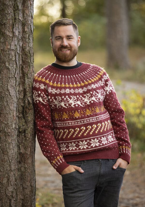 VIKING - JULEMYSTERIET GENSER 2238-2C