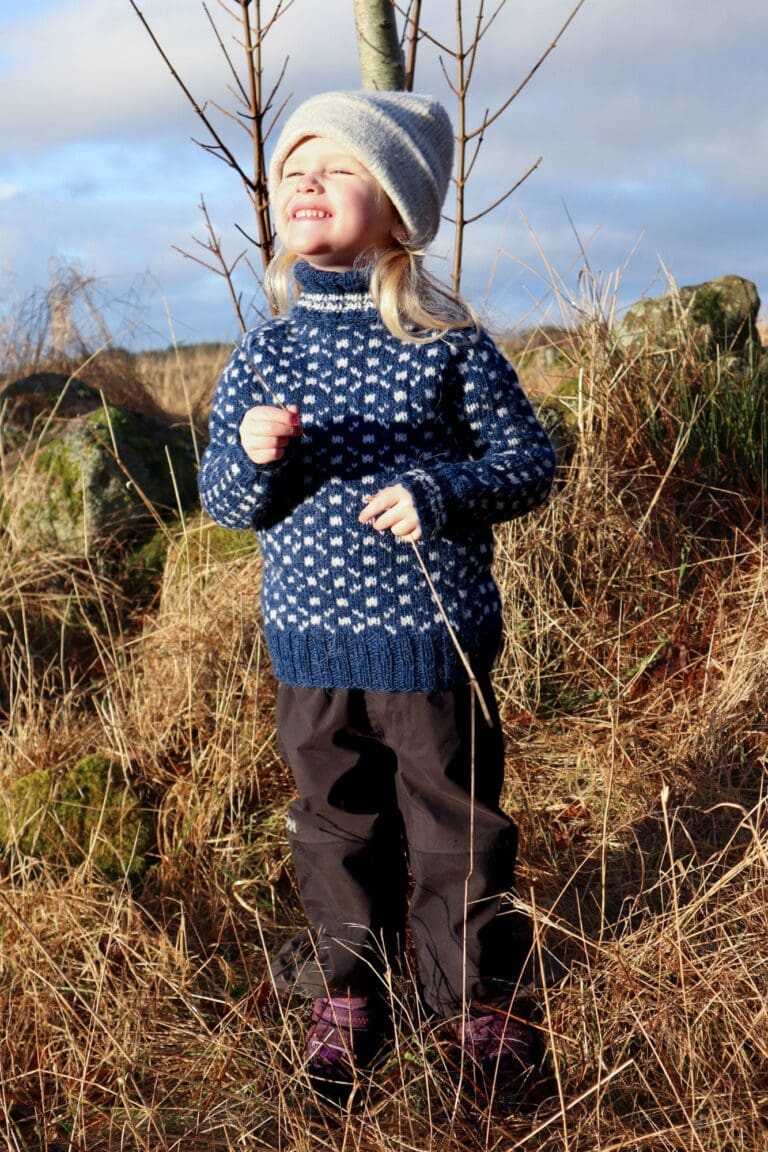 Product image for DALE - ISLENDER BARNEGENSER 463-15