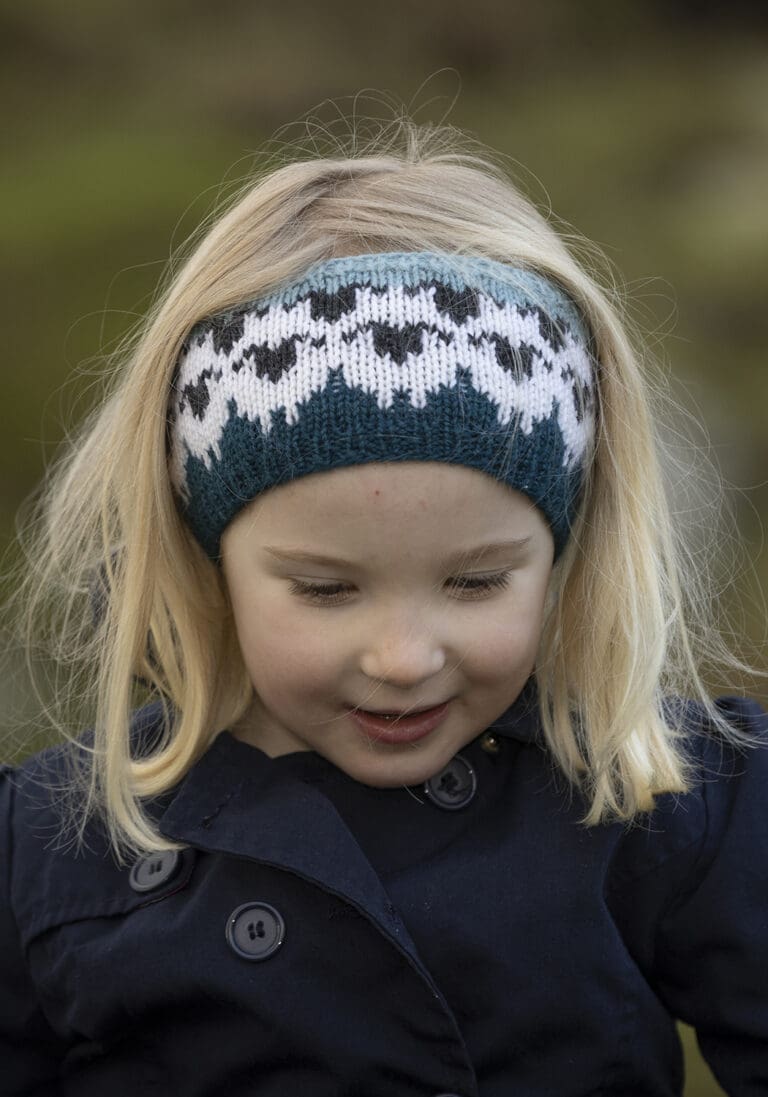 Product image for VIKING - FLOKKEN PANNEBÅND 2309-7