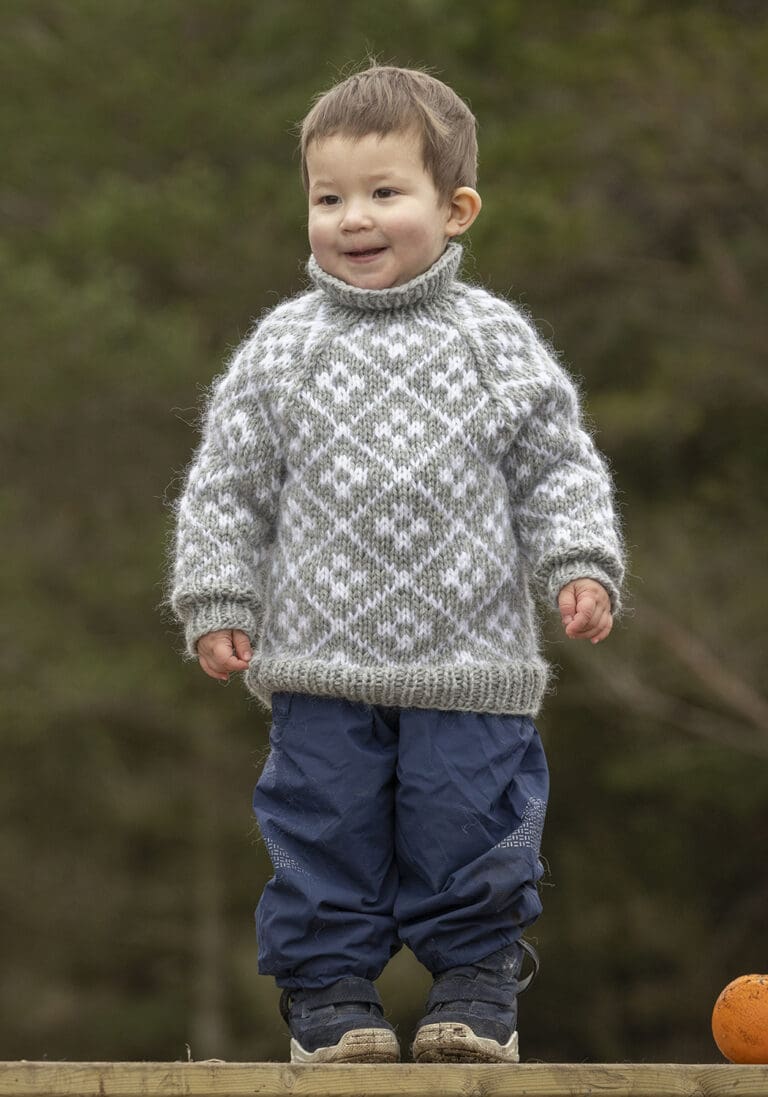 Product image for VIKING - FJELLROSE GENSER 2310-22