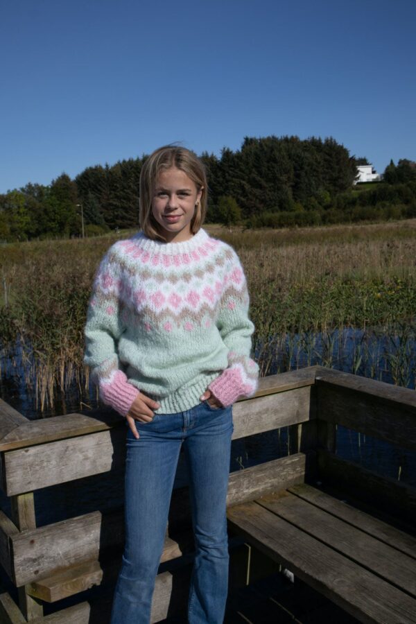 FASETT GENSER 311-01