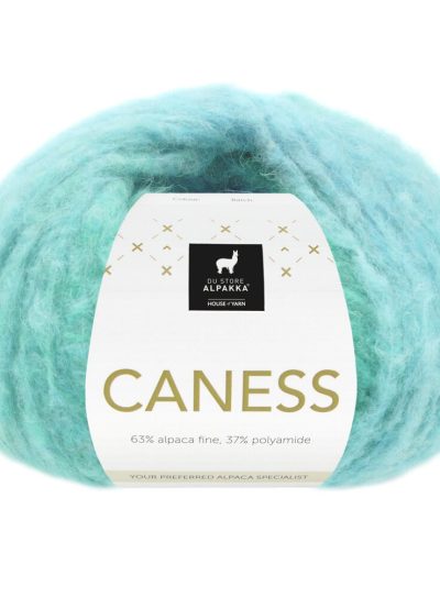 POSESALG - DSA CANESS