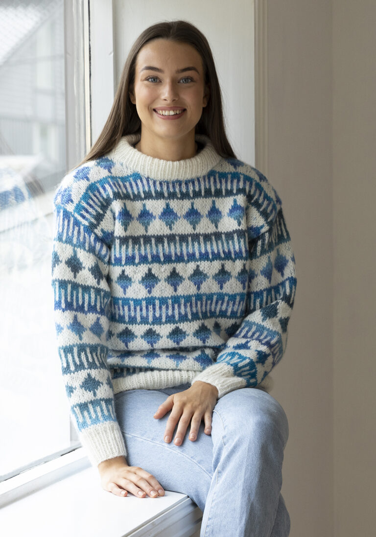 Product image for GRØDE GENSER 2339-9B