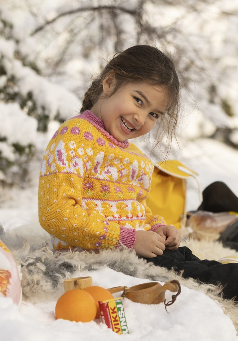 Product image for PÅSKESTEMNING GENSER 2412-2A