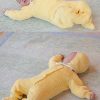 HONEY DRESS, KYSE OG LUBBER 2506-5