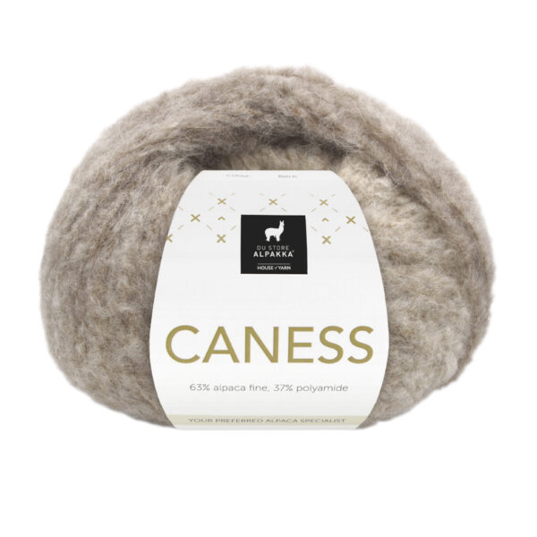 POSESALG - DSA CANESS